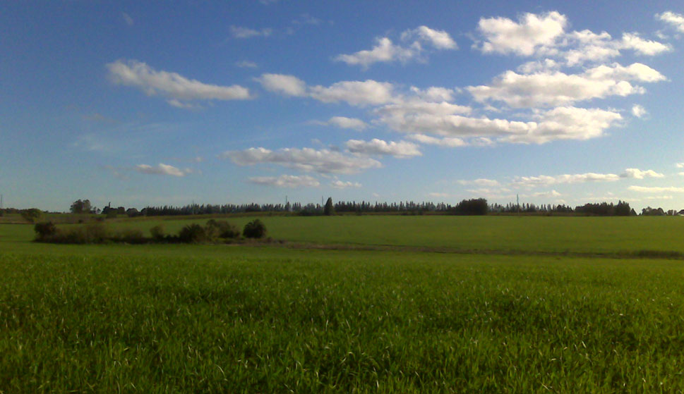 Prairies 